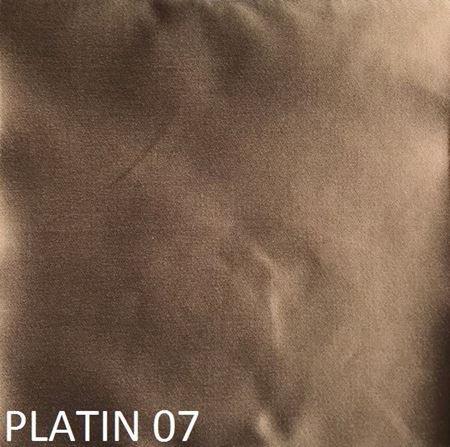 Picture of PLATIN