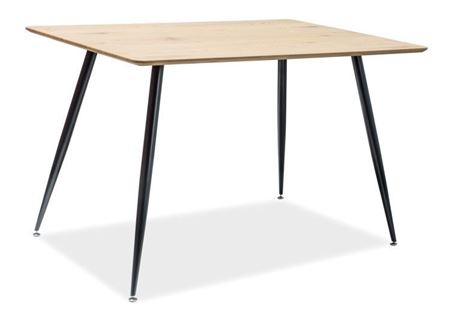 Attēls  Galds REMUS 120 (Ozola)