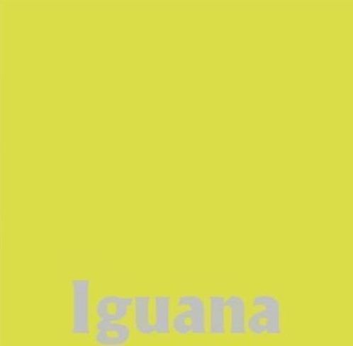 Iguana